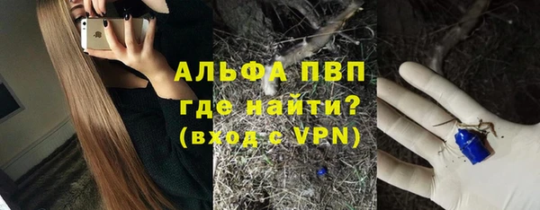 эйфоретик Алексин