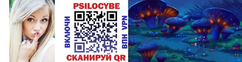 площадка формула  гидра ссылка  Кудымкар  сколько стоит  Псилоцибиновые грибы Psilocybe 