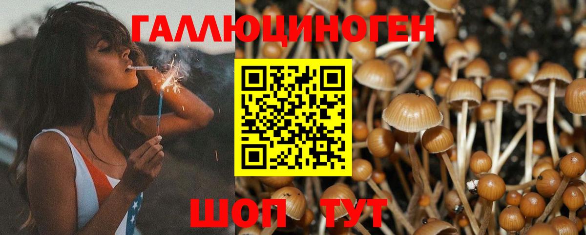 Кудымкар  Конопля  Вход с VPN  Alpha-PVP СК кристаллы  Экстази  ГАШ  Меф МЯУ МЯУ  