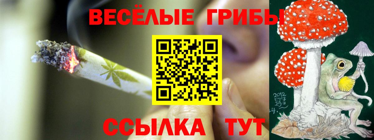 Кудымкар  Псилоцибиновые грибы MAGIC MUSHROOMS  Псилоцибиновые грибы мухоморы  хочу   Вход с VPN 